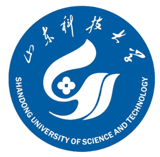 Шаньдунский научно технологический университет